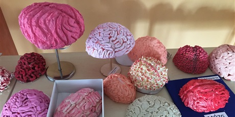 Powiększ grafikę: modele mózgów wykonane z różnych materiałów