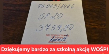 Powiększ grafikę: wosp-szczegolowe-informacje-670759.jpg